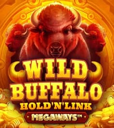 Buffalo Megaways: Hold 'N' Link